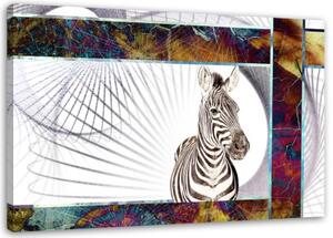 Obraz na plátně Zvířata zebry - 100x70 cm