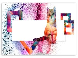 Obraz na plátně Kočkovitá zvířata - 60x40 cm