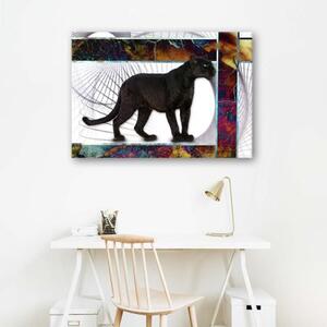 Obraz na plátně Zvířata panterů - 60x40 cm