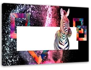 Obraz na plátně Zvířata zebry - 60x40 cm