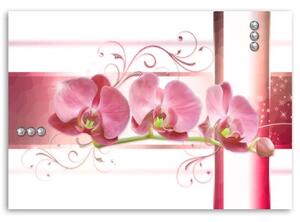 Obraz na plátně Růžový květ orchideje - 60x40 cm