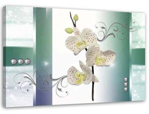 Obraz na plátně Orchidej Květina Rostlina - 100x70 cm