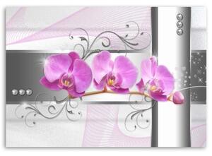 Obraz na plátně Květ orchideje - 60x40 cm