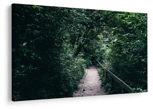 Obraz - Cesta lesom (90x60 cm)
