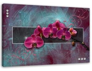 Obraz na plátně Fuchsiová orchidej Květina - 60x40 cm