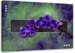Obraz na plátně Orchidej Květina Příroda Fialová - 100x70 cm