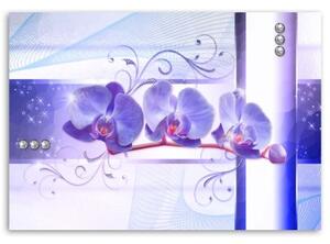 Obraz na plátně Fialová orchidej Květina - 60x40 cm