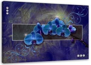 Obraz na plátně Orchidej Květina Modrá - 100x70 cm