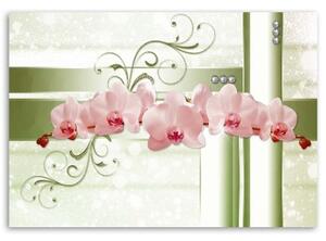 Obraz na plátně Růžové květy orchidejí - 60x40 cm