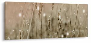 Obraz - Harmonická lúka (120x50 cm)