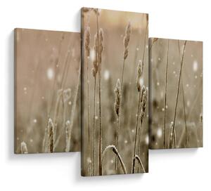 Obraz - Harmonická lúka (90x60 cm)