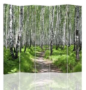 Ozdobný paraván Příroda březového lesa - 180x170 cm, päťdielny, klasický paraván