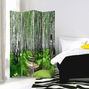 Ozdobný paraván Příroda březového lesa - 145x170 cm, štvordielny, klasický paraván