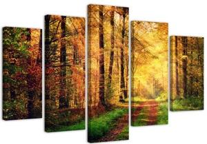 Obraz na plátně pětidílný Lesní podzim - 150x100 cm