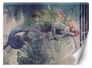 Fototapeta, Chameleon na větvi v džungli - 100x70 cm