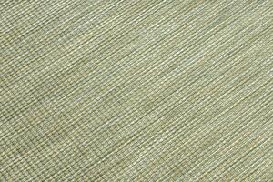 Šnúrkový koberec SIZAL PATIO 2778 Plocho tkaný, zelený