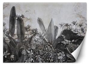 Fototapeta, Černobílé tropické listy na betonu - 368x254 cm