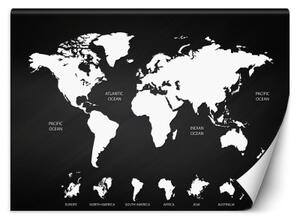 Fototapeta, Černobílá mapa světa - 400x280 cm
