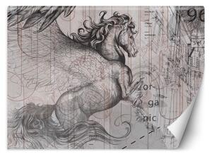 Fototapeta, Pegasův kůň abstraktní - 150x105 cm