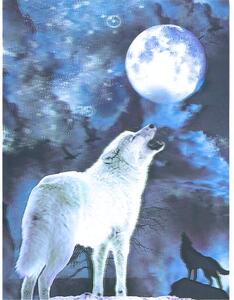 Obraz 3D Vlk vyjúci na mesiac (obraz do spálne)