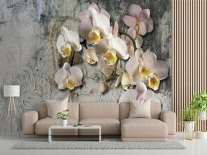 Fototapeta, Kvetoucí orchidej Květiny Stěna - 150x105 cm