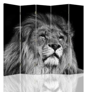 Ozdobný paraván, Lev v černé a bílé - 180x170 cm, päťdielny, klasický paraván