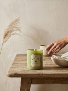 Sinsay - Vonná sviečka Matcha Latte - bledozelená