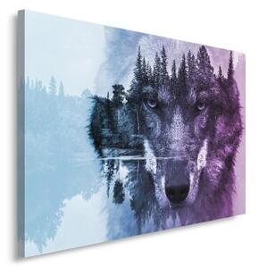 Obraz na plátně, Lesní vlk Zvířata Příroda - 60x40 cm