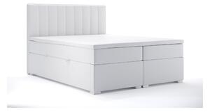 Kontinentálna posteľ 160 cm Ranaly (biela ekokoža) (s úložným priestorom). Vlastná spoľahlivá doprava až k Vám domov. 1044308