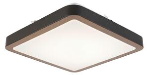 STROPNÉ LED SVIETIDLO, 37/37/8 cm Novel - Interiérové svietidlá