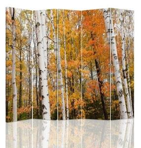 Ozdobný paraván, Březový les na podzim - 180x170 cm, päťdielny, klasický paraván