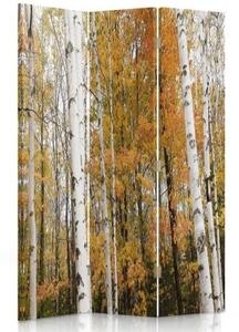 Ozdobný paraván, Březový les na podzim - 110x170 cm, trojdielny, klasický paraván