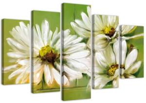 Obraz na plátně pětidílný Bílé sedmikrásky květy - 150x100 cm
