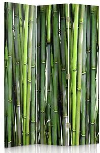 Ozdobný paraván, Bambus - 110x170 cm, trojdielny, klasický paraván