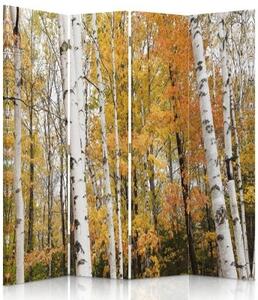 Ozdobný paraván, Březový les na podzim - 145x170 cm, štvordielny, klasický paraván