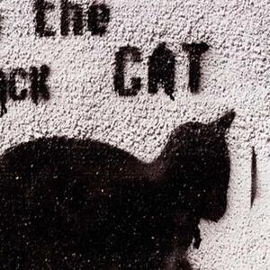 Ozdobný paraván Street Art Cat Graffiti - 110x170 cm, trojdielny, klasický paraván