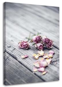 Obraz na plátně Květiny Růže Podlahová prkna Příroda - 40x60 cm