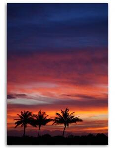 Obraz na plátně Palmy západ slunce moře - 40x60 cm