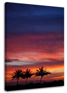 Obraz na plátně Palmy západ slunce moře - 40x60 cm