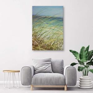 Obraz na plátně Plážová tráva Duny Písek - 40x60 cm
