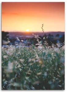 Obraz na plátně Západ slunce na louce - 40x60 cm