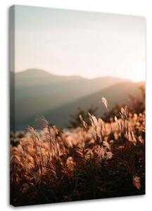 Obraz na plátně Meadow Mountain Nature - 40x60 cm