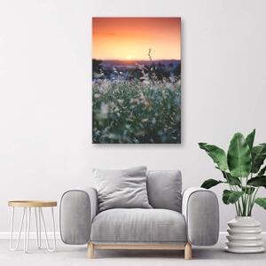 Obraz na plátně Západ slunce na louce - 40x60 cm