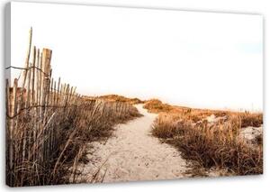 Obraz na plátně Pláž Písečné duny Travnaté plochy - 60x40 cm