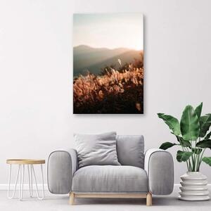 Obraz na plátně Meadow Mountain Nature - 40x60 cm