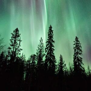 Ozdobný paraván, Aurora nad lesem - 180x170 cm, päťdielny, klasický paraván