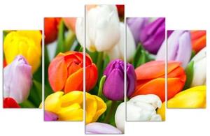 Obraz na plátně pětidílný Barevné tulipány Květiny - 100x70 cm