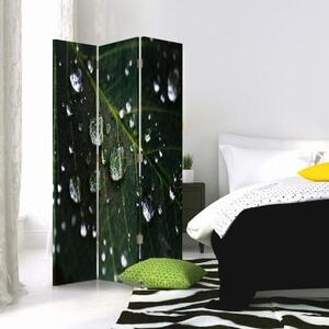 Ozdobný paraván Zelené listy kapky vody - 110x170 cm, trojdielny, klasický paraván