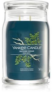 Yankee Candle Bayside Cedar vonná sviečka I. Signature 567 g