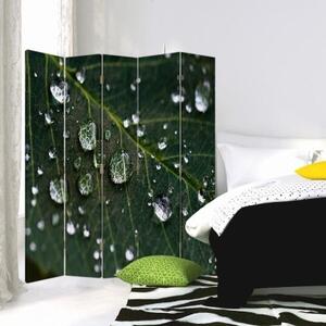 Ozdobný paraván Zelené listy kapky vody - 180x170 cm, päťdielny, klasický paraván